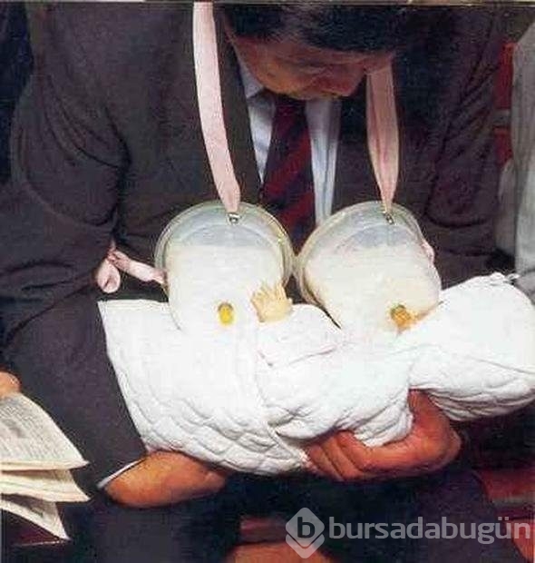 Ne işe yarıyorlar hiç düşündünüz mü?