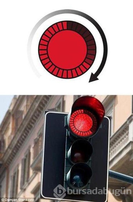 Ne işe yarıyorlar hiç düşündünüz mü?