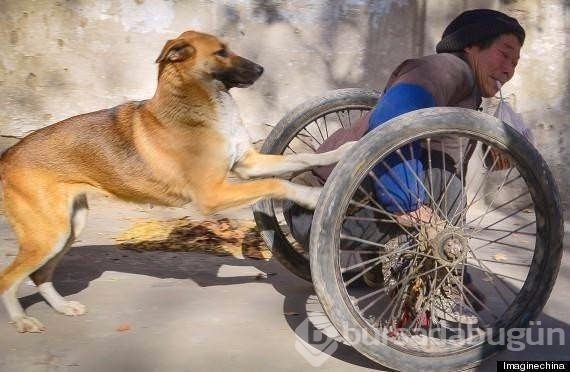 Şaşırtıcı kareler!