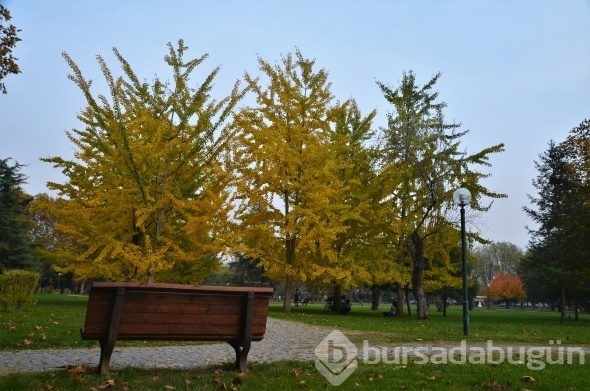 Bursa'da sonbaharın büyüsü
