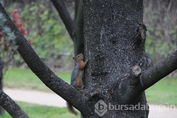 Bursa'da sonbaharın büyüsü