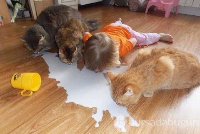 Çocukların birbirinden ilginç anları