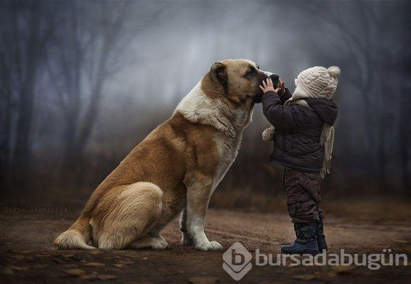 Anne, fotoğraf sanatçısı olunca 