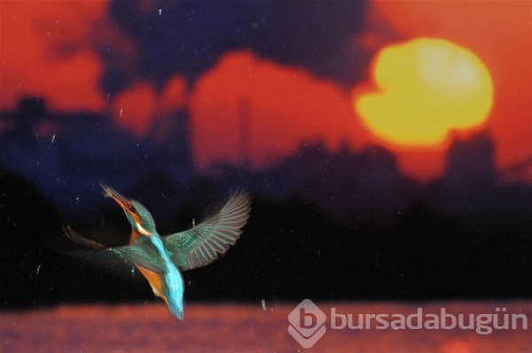 Anne, fotoğraf sanatçısı olunca 