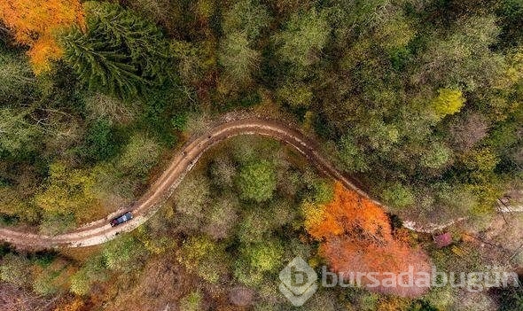 Türkiye'nin saklı güzelliği: Mavi Göl