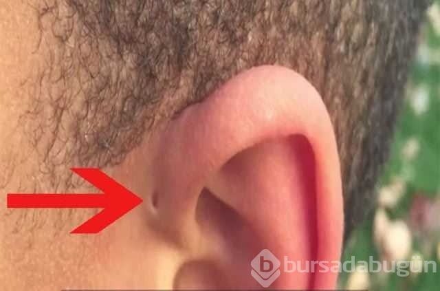 Dudağın üzerindeki boşluk bakın ne işe yarıyor