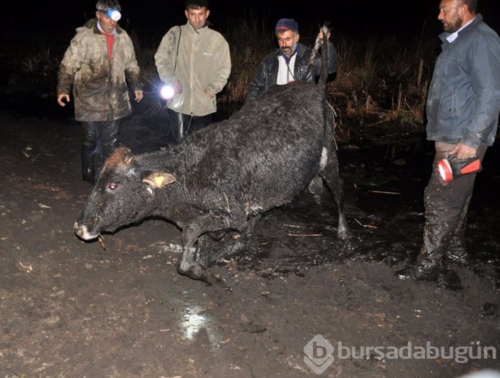 120 manda bataklıkta mahsur kaldı