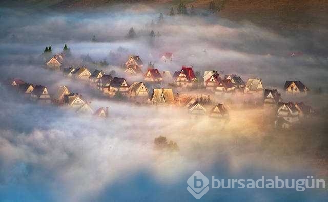 Günün en çok paylaşılan fotoğrafları