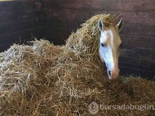 Günün en çok paylaşılan fotoğrafları