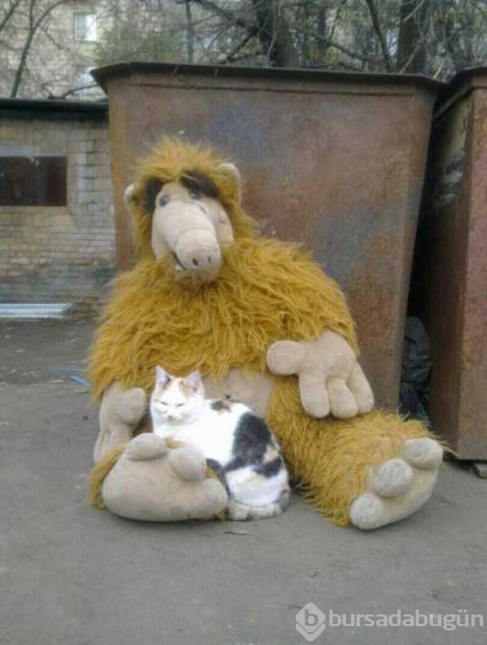 Günün en çok paylaşılan fotoğrafları