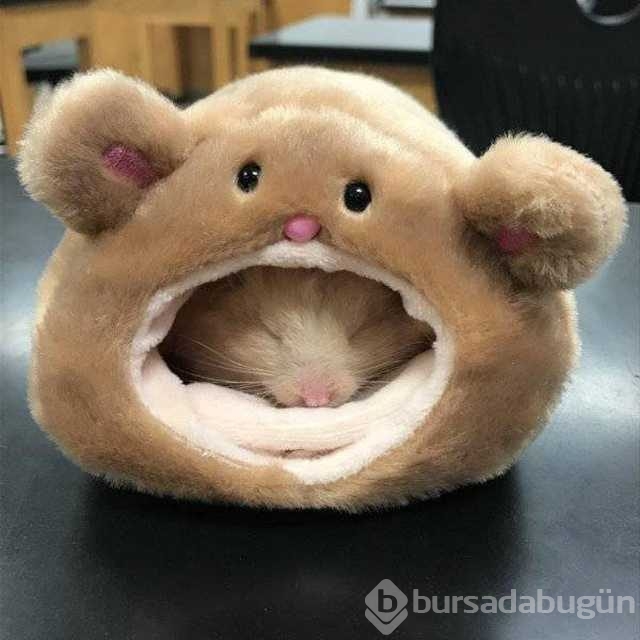 Günün en çok paylaşılan fotoğrafları