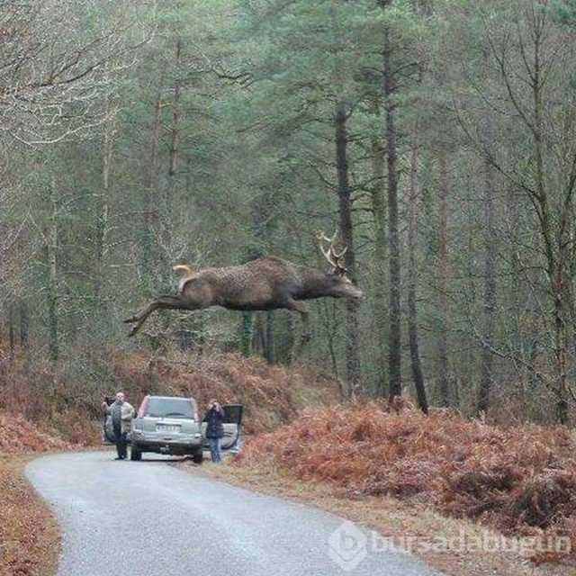 Günün en çok paylaşılan fotoğrafları