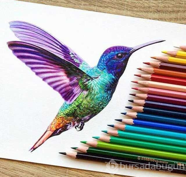 Günün en çok paylaşılan fotoğrafları