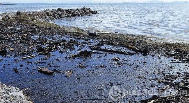 16 bin bilim insanından çevre felaketi uyarısı