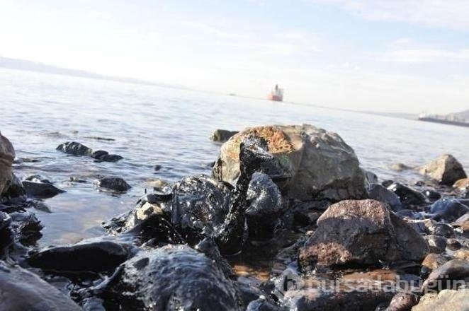 16 bin bilim insanından çevre felaketi uyarısı