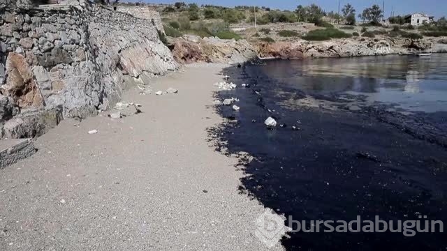 16 bin bilim insanından çevre felaketi uyarısı