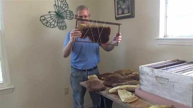 Yatağın altından arı peteği çıktı
