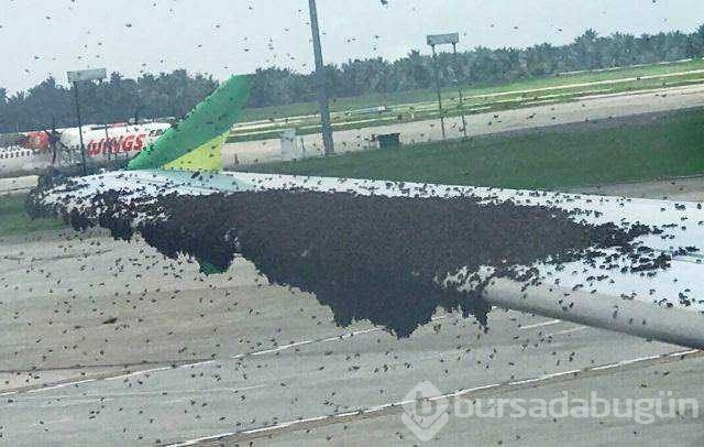 Günün en çok paylaşılan fotoğrafları