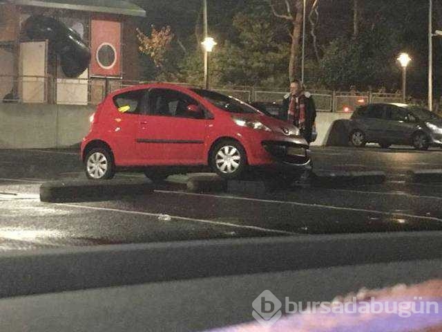Günün en çok paylaşılan fotoğrafları