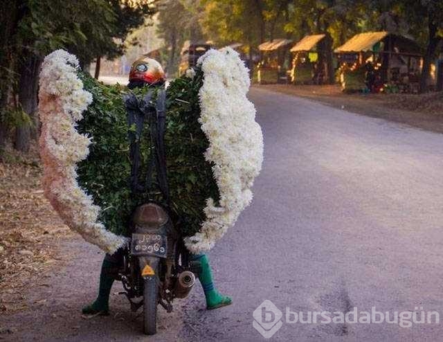 Günün en çok paylaşılan fotoğrafları