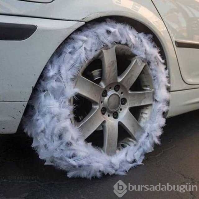 Günün en çok paylaşılan fotoğrafları