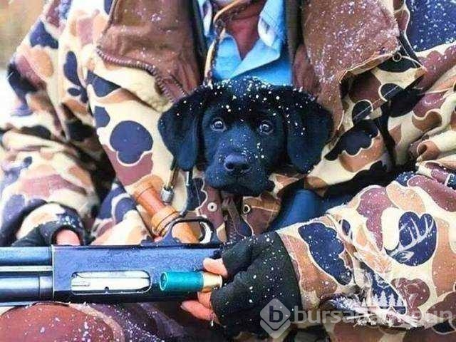 Günün en çok paylaşılan fotoğrafları