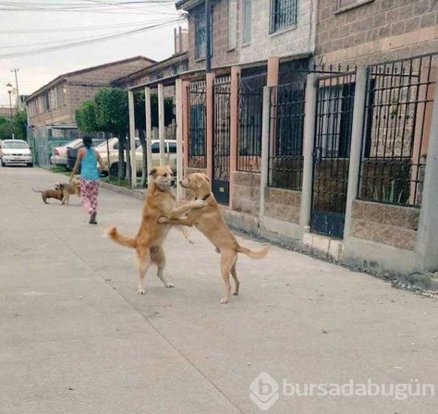Günün en çok paylaşılan fotoğrafları