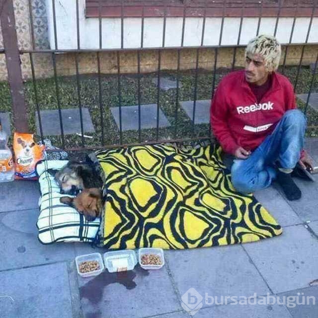 Günün en çok paylaşılan fotoğrafları