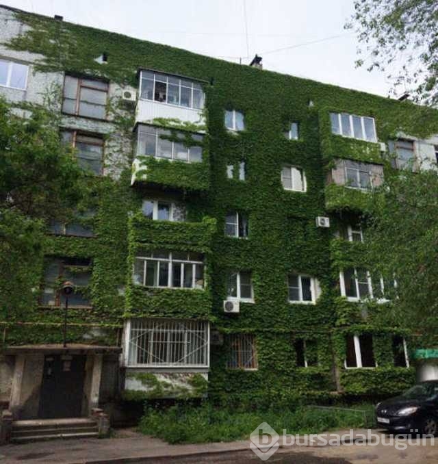 Günün en çok paylaşılan fotoğrafları