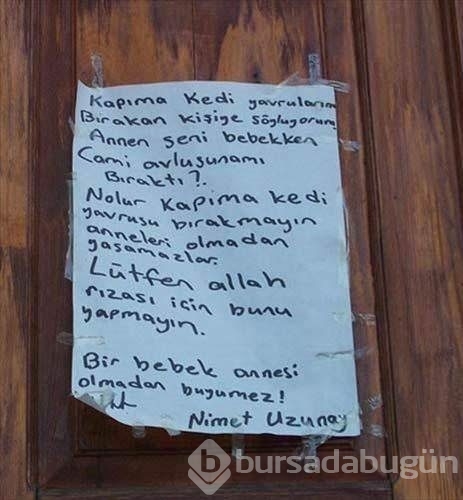 Bu kareler güldürüyor
