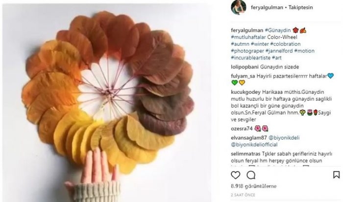 Ünlülerin İnstagram paylaşımları (20.11.2017)
