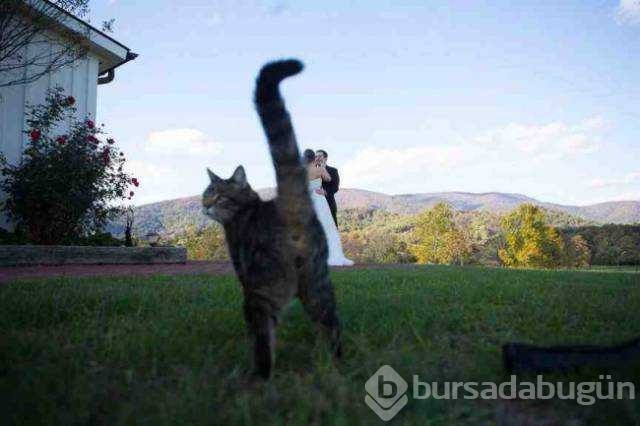 Unutulmaz düğün fotoğrafları