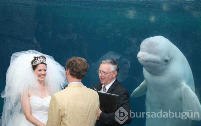Unutulmaz düğün fotoğrafları