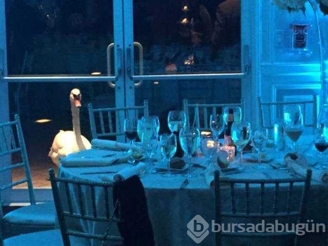 Unutulmaz düğün fotoğrafları