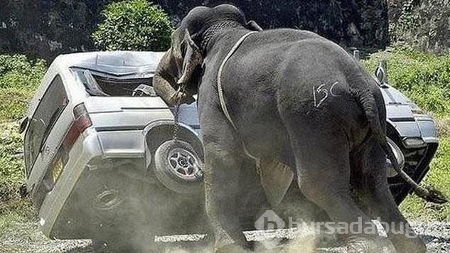 Nasıl olduğuna anlam veremeyeceğiniz kazalar