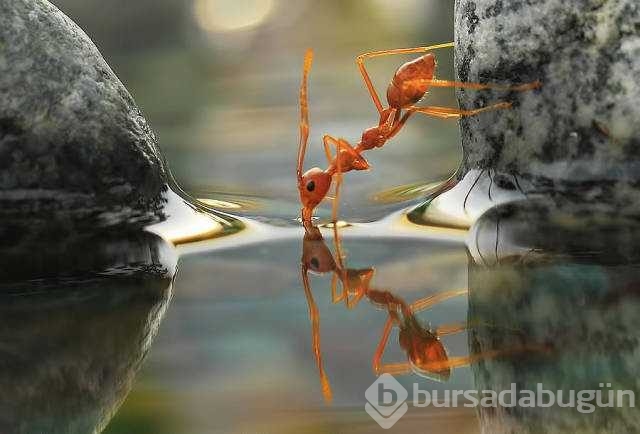 Günün en çok paylaşılan fotoğrafları