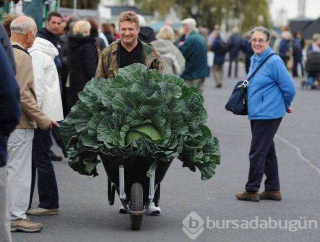 Günün en çok paylaşılan fotoğrafları