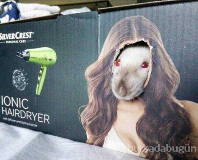 Günün en çok paylaşılan fotoğrafları