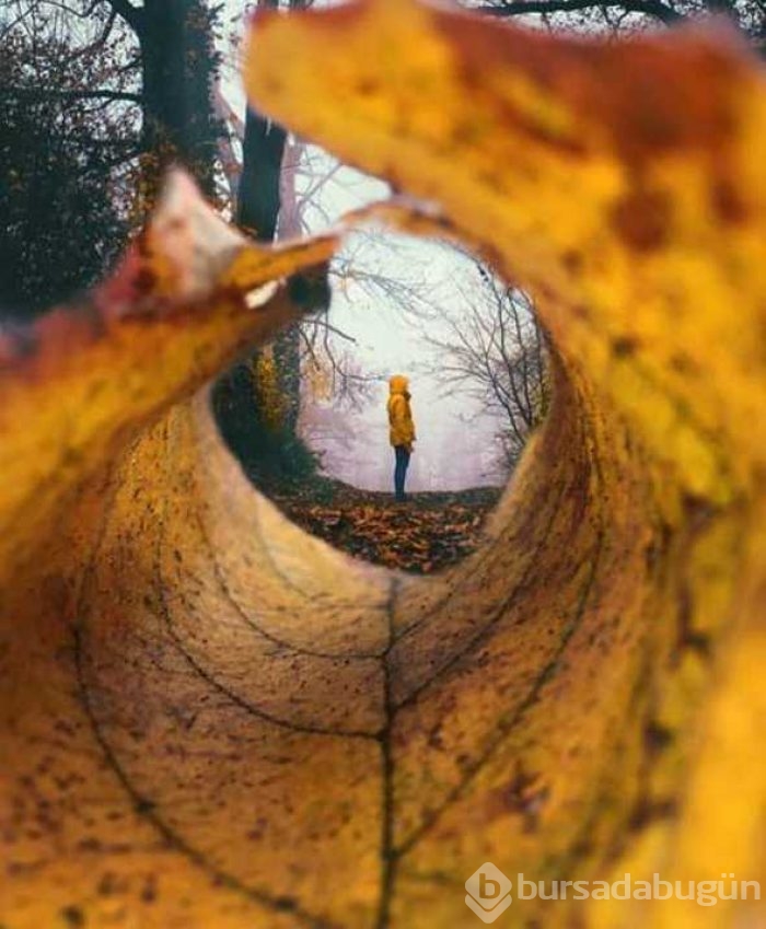 Günün en çok paylaşılan fotoğrafları