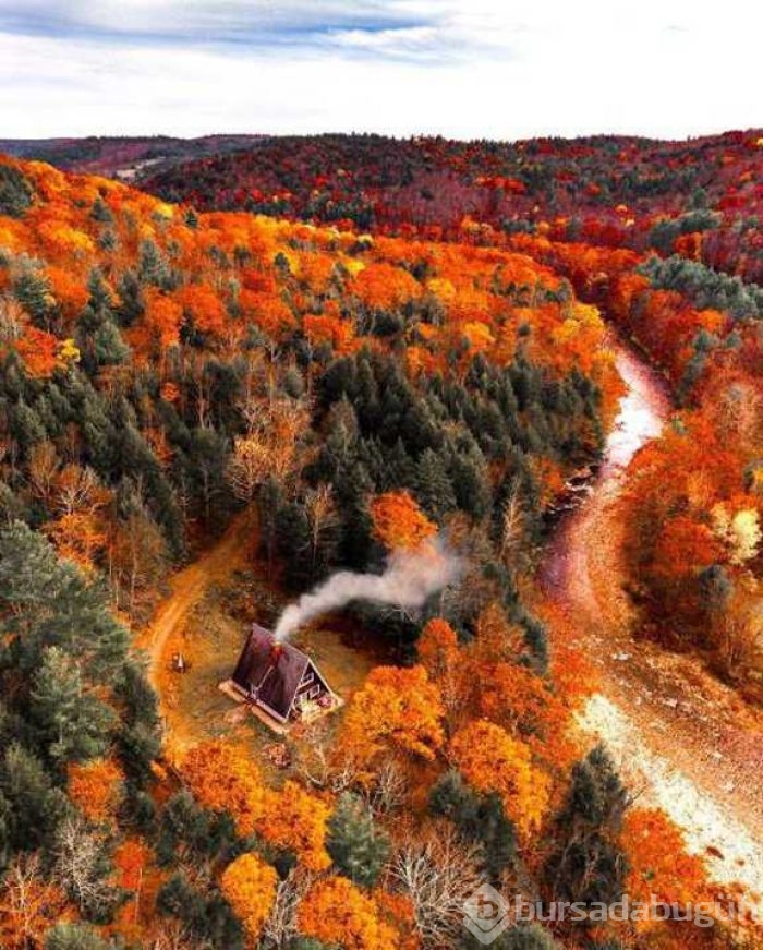 Günün en çok paylaşılan fotoğrafları