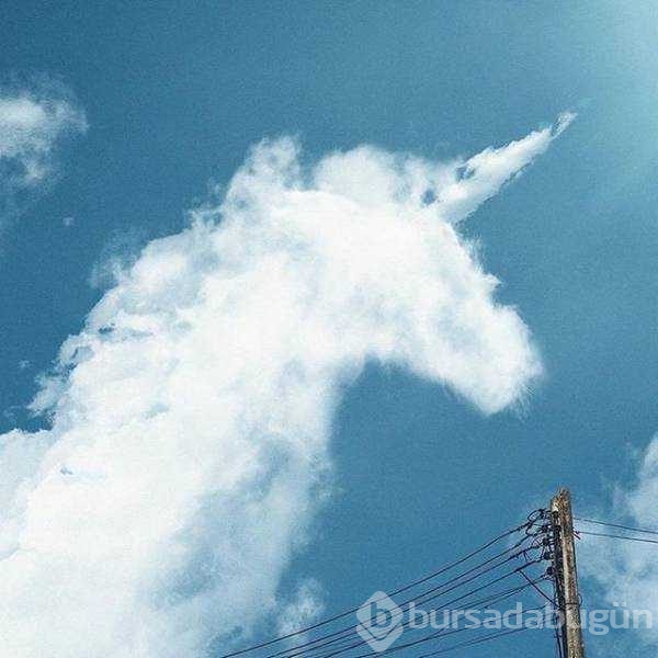 Günün en çok paylaşılan fotoğrafları