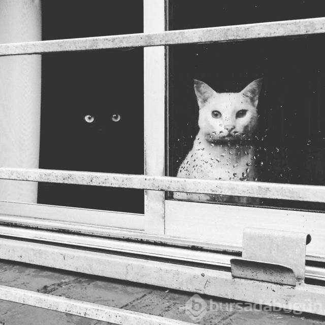 Günün en çok paylaşılan fotoğrafları