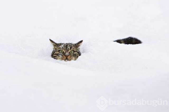 Günün en çok paylaşılan fotoğrafları