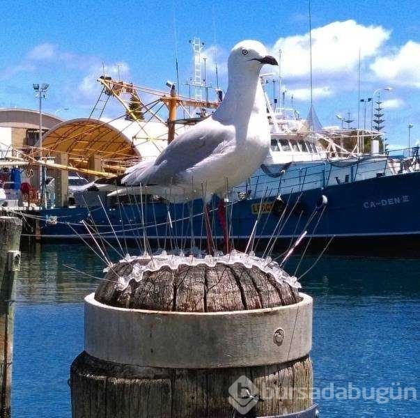 Günün en çok paylaşılan fotoğrafları