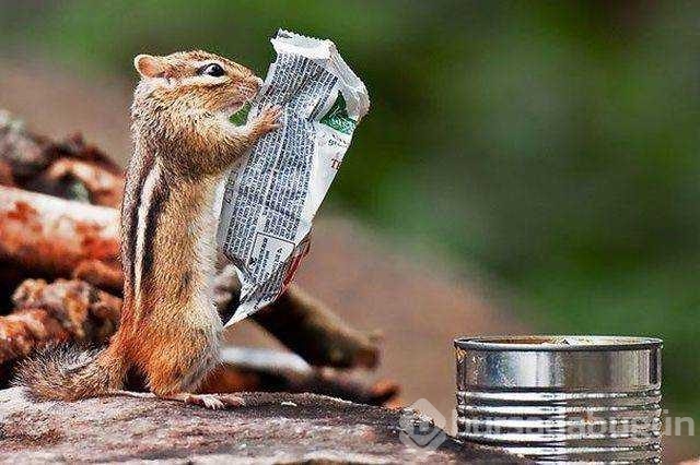 Günün en çok paylaşılan fotoğrafları