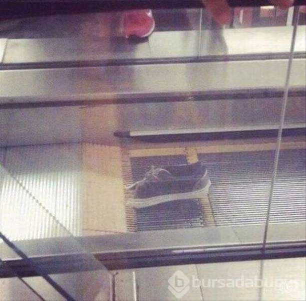 Günün en çok paylaşılan fotoğrafları