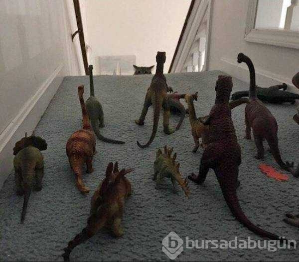 Günün en çok paylaşılan fotoğrafları