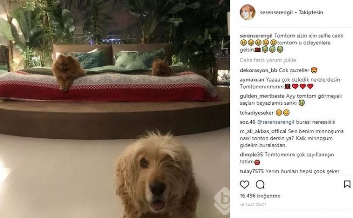 Ünlülerin İnstagram paylaşımları (21.11.2017)