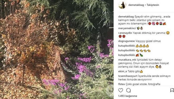 Ünlülerin İnstagram paylaşımları (21.11.2017)