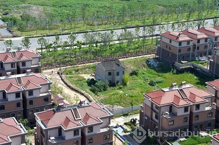 İnatçı ev sahiplerinin durumları
